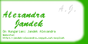 alexandra jandek business card